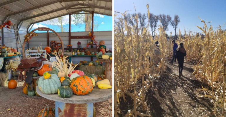 This Rustic Nevada Farm Stand Is Piled High With Squash And Pumpkins Every September