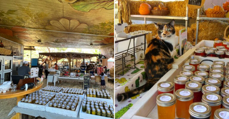 A Simple Grocery Run Turns Into Something Bigger At This Nevada Farmers Market