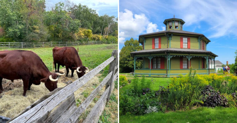 This Re-Created 19th Century New York Village Has 68 Historic Buildings And Most Locals Have Never Heard Of It
