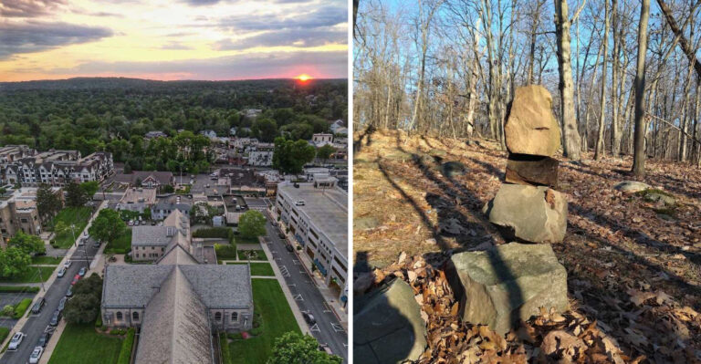 Black Bears Have Been Spotted In These 7 New Jersey Areas This Summer