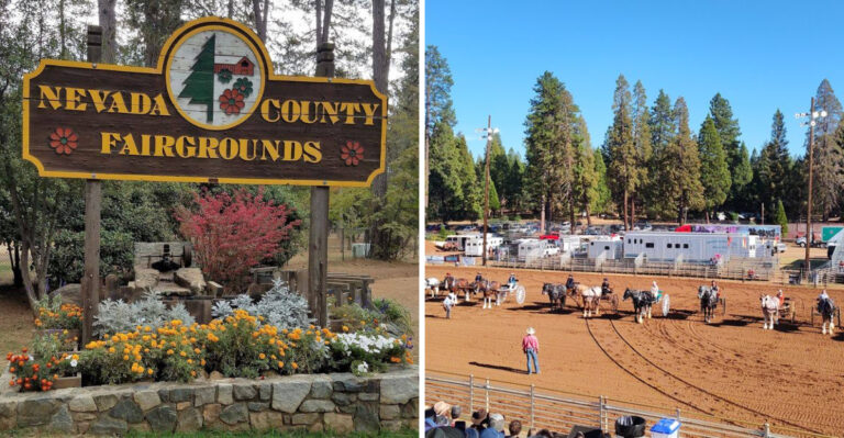 This Five-Day California Fair Turns A Pine-Shaded Setting Into A Summer Wonderland