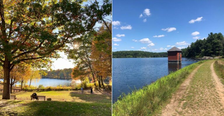 10 Easy Massachusetts State Park Hikes The Whole Family Will Love