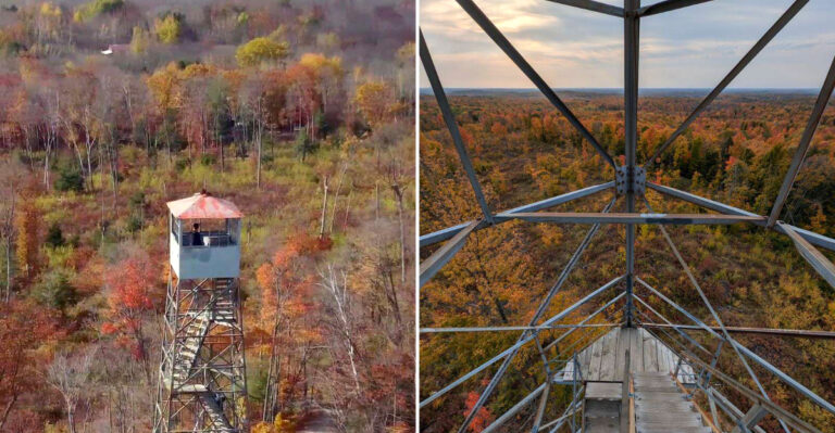 This Wisconsin Lookout Tower Gives You One Of The Best Fall Foliage Views In The Midwest