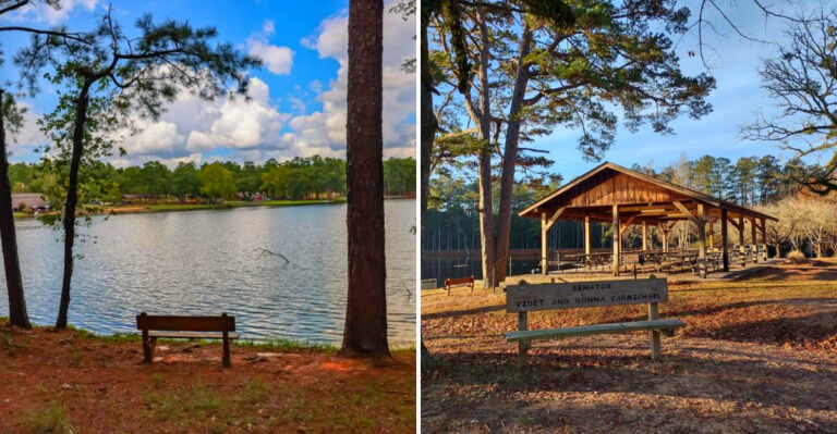 The Underrated State Park In Mississippi Where You Can Swim And Hike All Day For Just $2 In 2026