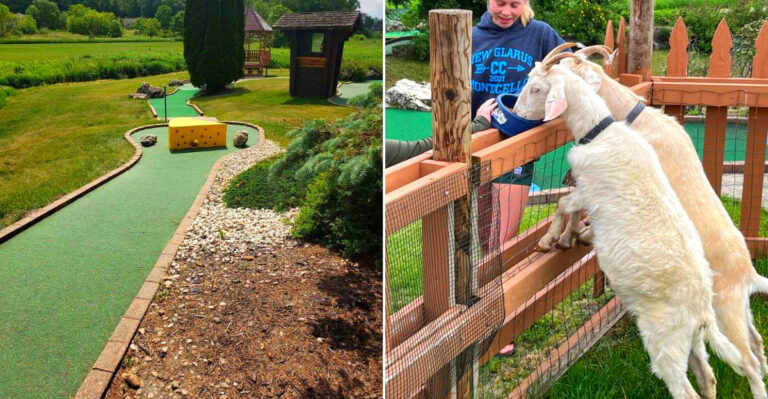 The Quirky Mini Golf Course In Wisconsin Where You Can Play Alongside Goats