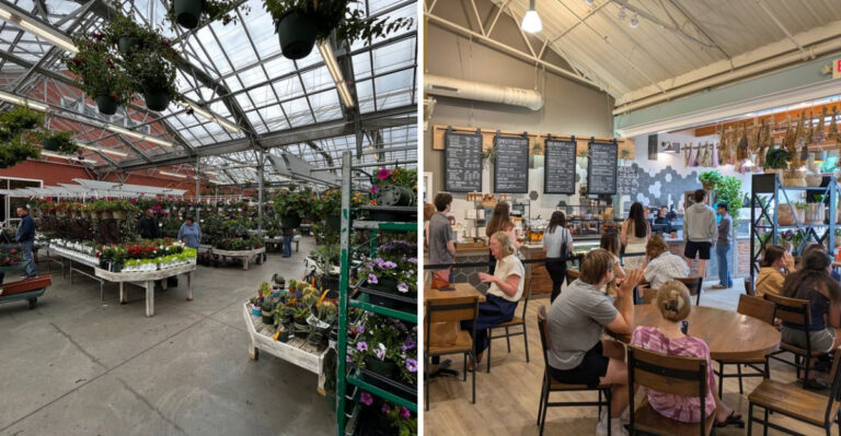 This Massachusetts Nursery And Cafe Feels Straight Out Of A Fairy Tale