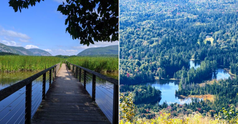 10 New York Walks Under 2 Miles For People Who Want The Views Without The Tough Hike