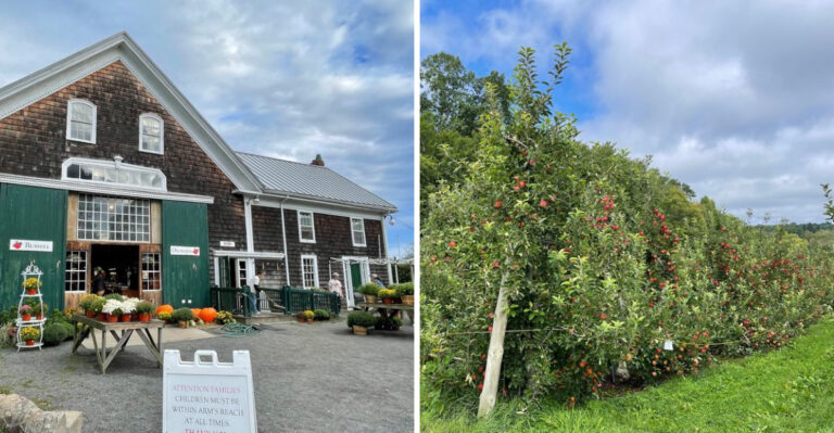 9 Gorgeous Massachusetts Apple Orchards To Visit Before The Crowds Arrive