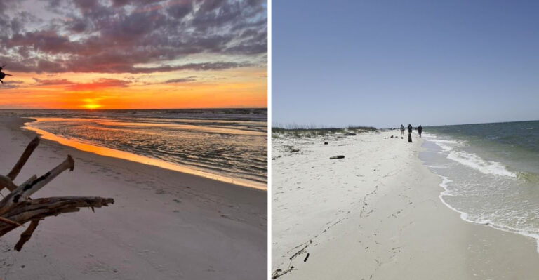 This Alabama Gulf Beach Is One Of The Best Places To Find Seashells This Year