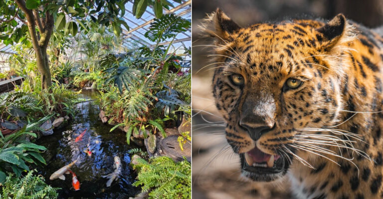 This Underrated Connecticut Zoo Deserves A Spot On Your Bucket List