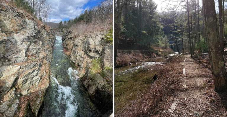 People Visit This Beloved Massachusetts Nature Spot Hoping To Catch A Glimpse Of Black Bears