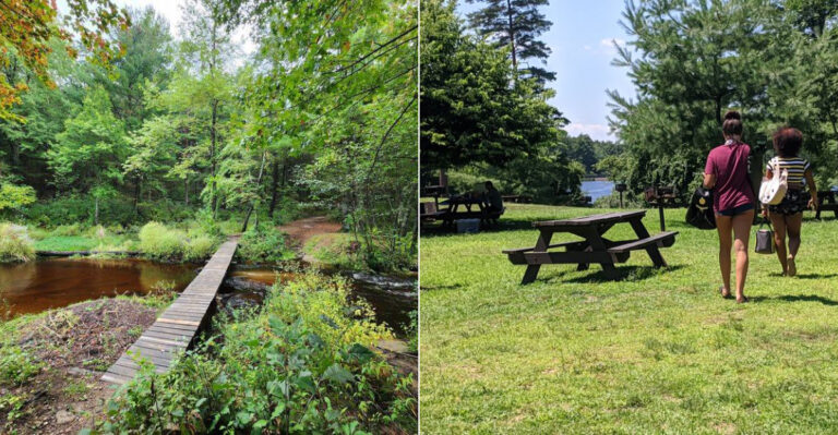 The Best State Park Near Springfield, Massachusetts For A Relaxing Late Summer Picnic