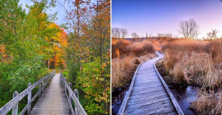 The 9 New York Boardwalk Trails Where You Can Cross Wetlands And Get Huge Views Without A Hard Climb