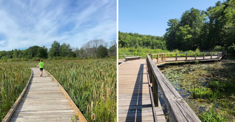 9 Peaceful Massachusetts Nature Walks That Give You Big Beauty Without A Hard Hike