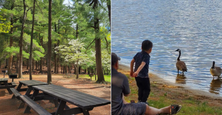 Massachusetts’ Oldest Man Made Lake Offers Beautiful Views And The Perfect Picnic Spot