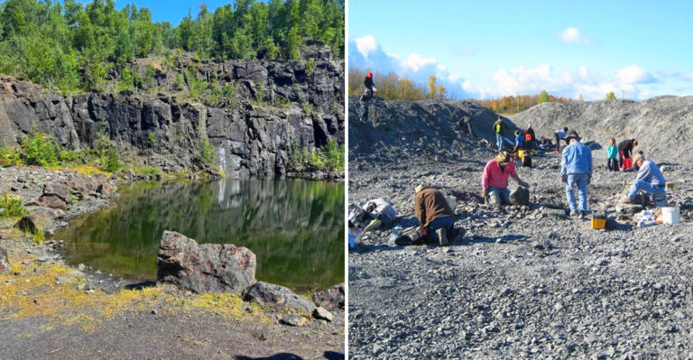 8 New York Places Where You Can Dig, Pan, Or Search For Natural Treasures And Keep What You Find