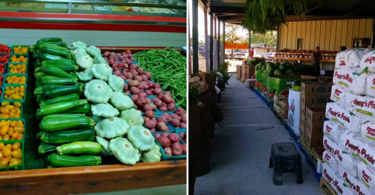 The Massive Cash-Only Mississippi Amish Market Where Nobody Plans To Stay Four Hours But Almost Everyone Does