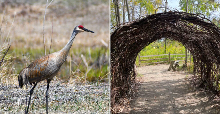 This Wisconsin Waterfowl Preserve Offers A Scenic Break From The Usual Crowds