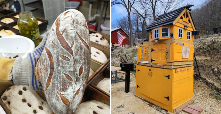 This Pint-Sized Bread Stand In Wisconsin Has The Best Rye Sourdough Bread In America