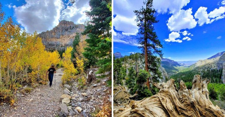 Climb This High-Altitude Nevada Hike For The State’s Most Breathtaking Fall Colors