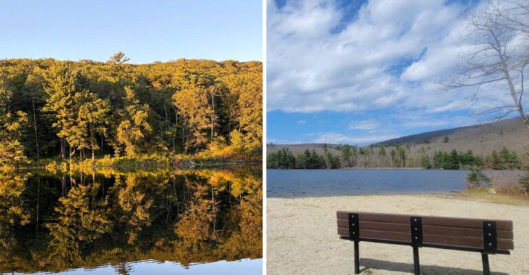 This Remote Massachusetts Pond Has Clear Water And A Peaceful Beach Surrounded By Berkshire Forest