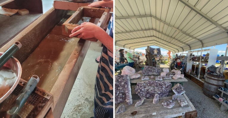 These Are The Best Tennessee Places To Find Fossils, Gemstones, Quartz, And More