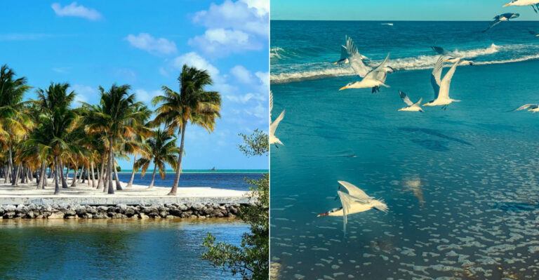10 Florida Beaches So Beautiful Locals Wish Tourists Would Stay Away In 2026