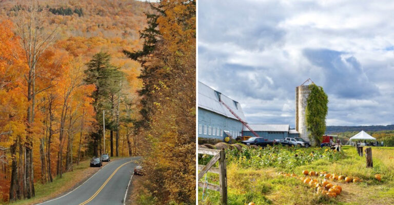10 New York Country Roads Where Farm Stands, Bakeries, And Markets Turn One Drive Into A Full-Day Food Crawl