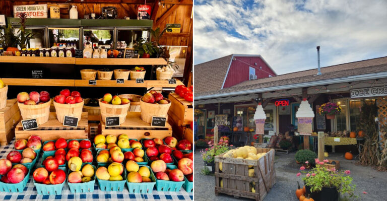 These Massachusetts Farm Stands Offer Fresh Bread, Local Goods, And A Slower Way Of Shopping