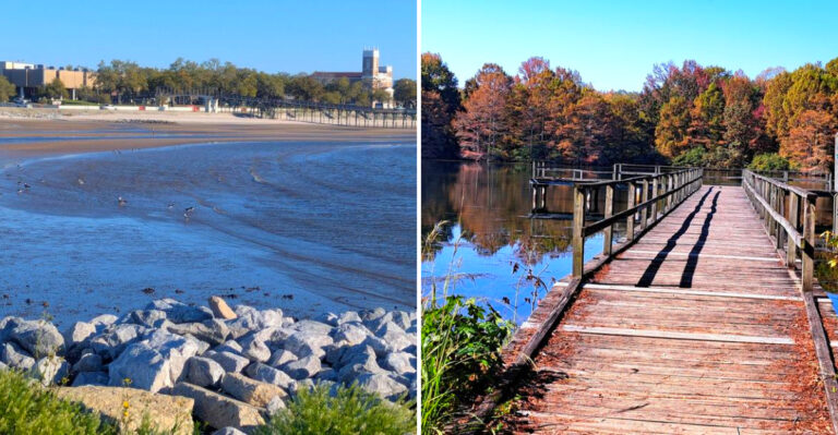 12 Shallow-Water Mississippi Beaches That Are Perfect For Families With Kids