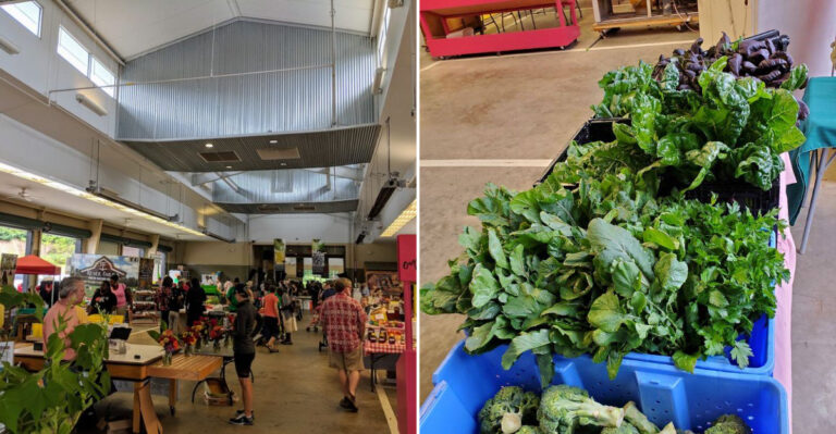This Mississippi Farm Market Makes A Small Grocery Budget Go Further With Fresh Produce
