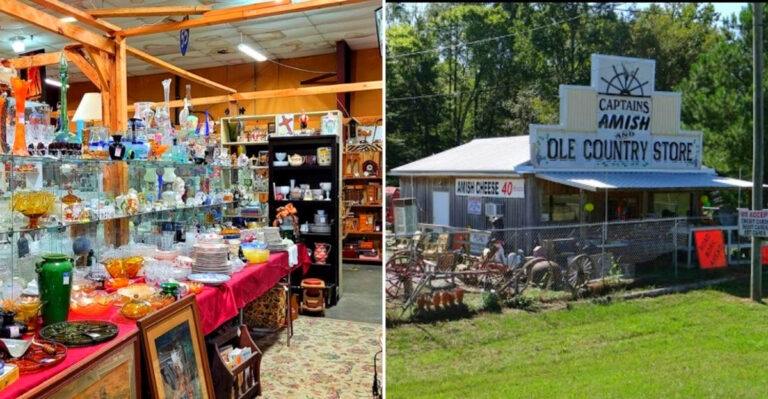 6 Hole-In-The-Wall Mississippi Mennonite And Amish Bakeries Where The Bread Tastes Like Grandma Made It