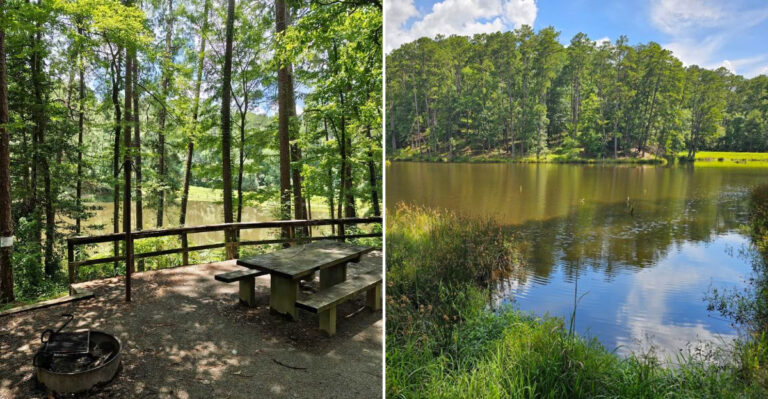 This Remote Mississippi Lake Has Crystal-Blue Water And Quiet Beaches Hidden Among The Pines