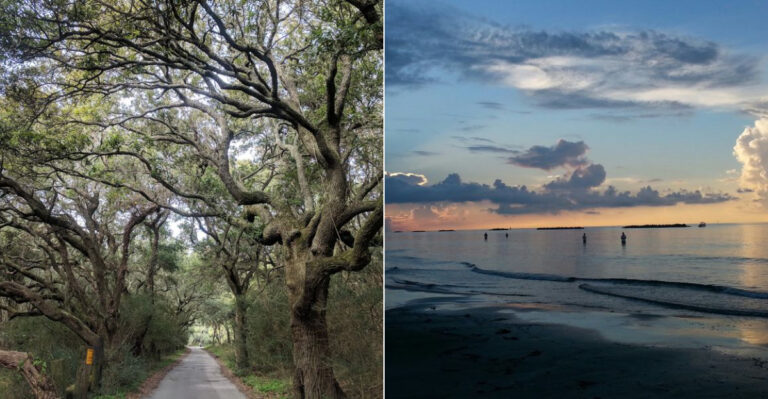This Charming Louisiana Beach Town Could Be The Prettiest Spot On The Gulf