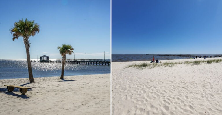 Best Coastal Locations In Mississippi For Shark Teeth Seashells And Beachcombing