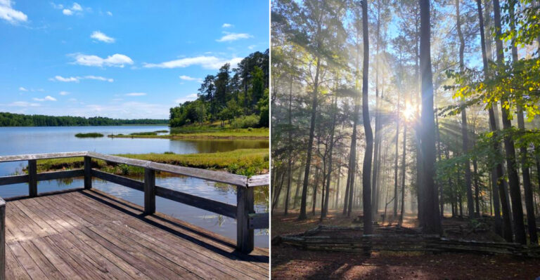 This Spring-Fed Mississippi Swimming Hole Is Surprisingly Affordable