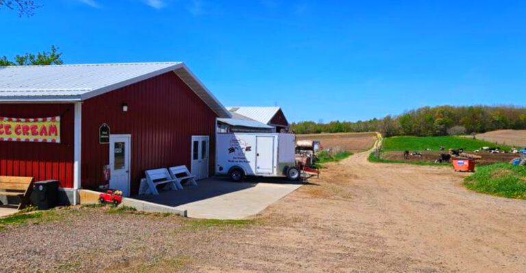 This Wisconsin Dairy Farm Is A Sweet Road-Trip Stop For Cow Lovers And Ice Cream Fans