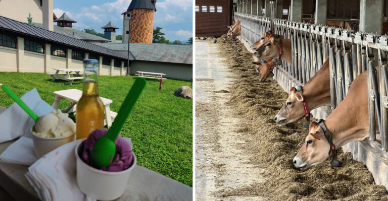 The Massive Massachusetts Dairy Farm Where Homemade Ice Cream And Berkshire Views Rule