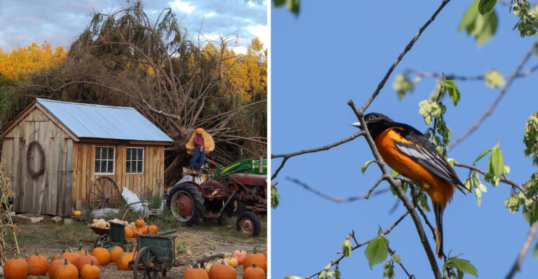 This Quiet New Hampshire Town Still Rents Airbnbs For Under $90 A Night Year-Round