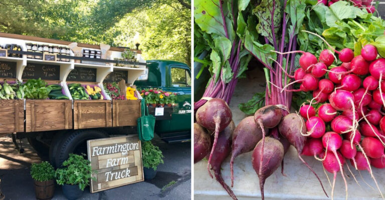 11 Connecticut Farmers Markets Where $15 Fills Your Tote With Local Produce