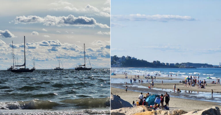 11 Massachusetts Beaches Where Swimmers Should Keep An Eye Out For Jellyfish This Summer