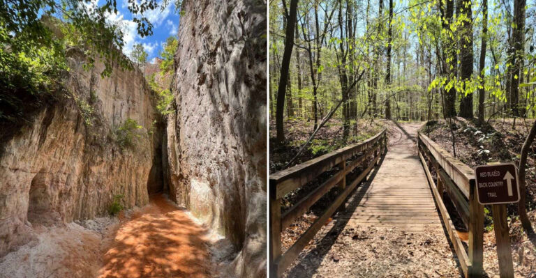 This Hidden Little Grand Canyon In Georgia Is One Of The Most Stunning Natural Wonders In The South