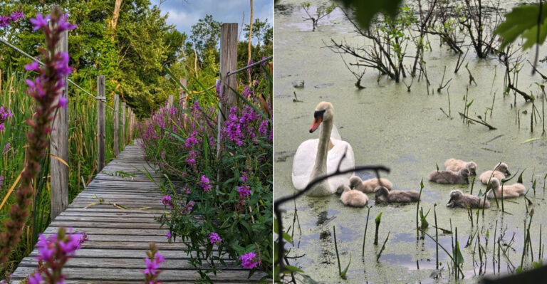 This Gorgeous Massachusetts Small Town Sits Just A Short Drive From Springfield