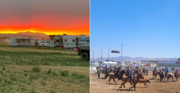 This Nevada Fair Makes August Worth The Trip With Rodeos And Livestock Shows