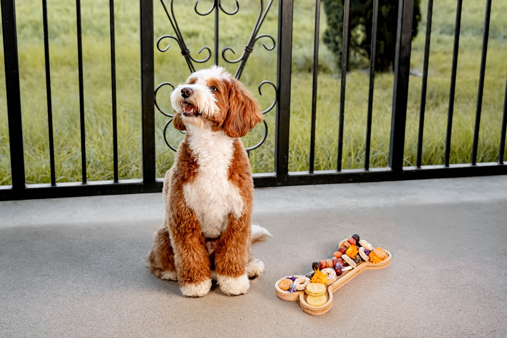 Barkuterie board. (The Meritage Resort and Spa)