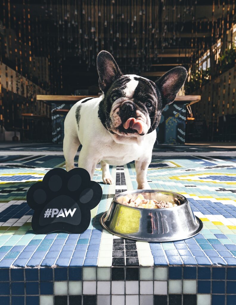 W Punta de Mita, the country's ultimate doggie surf escape