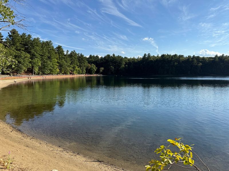 Walden Pond State Reservation