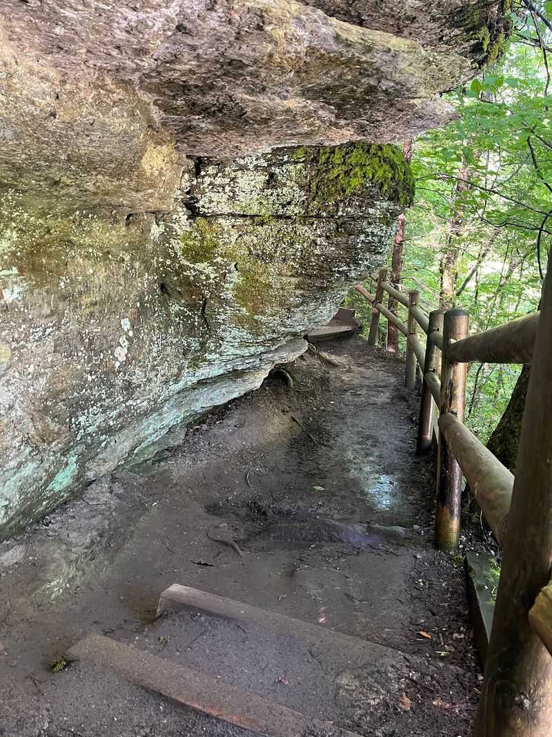 Burgess Falls Trail