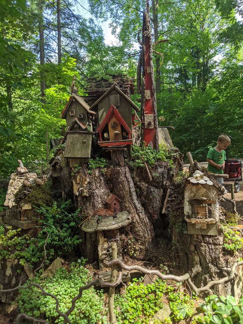 Buckeye Bud's Adventure Woods