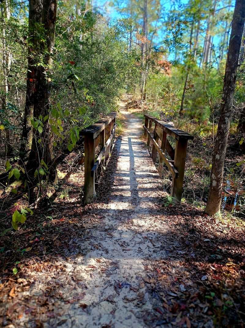 Tuxachanie Trail - Saucier